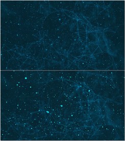 Plexus点线面科技网格