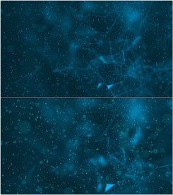 Plexus网格动态背景