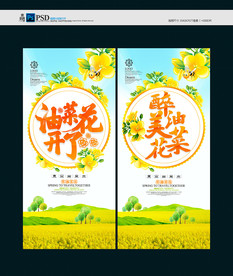 油菜花