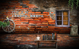 复古红砖立体工装背景墙