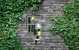 珍惜时光爬山虎砖墙背景墙