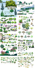 园林植物立面彩图