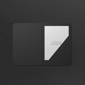 高档通用完整VI样机图片