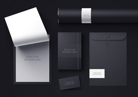 高档通用完整VI样机图片