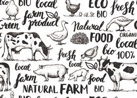 有机天然农场无缝背景墙