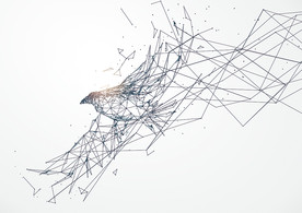 雄鹰矢量线条人物设计