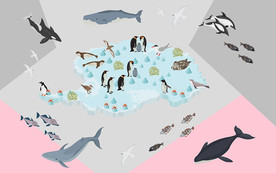 海洋鱼群卡通背景墙