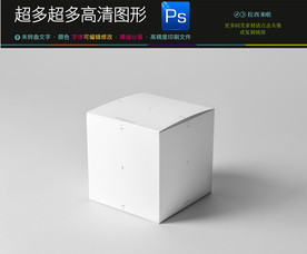 空白样品盒子样机效果图