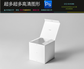 空白样品盒子样机效果图