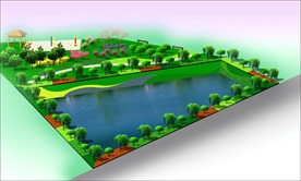 池塘绿化效果图