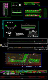 园林道路设计CAD图纸