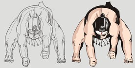 相扑选手矢量素材