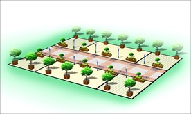 广场绿化效果图