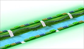 河道护坡绿化效果图