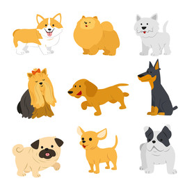 各种可爱的矢量狗狗小狗