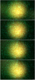 金色光线绿色波纹神秘梦幻光效