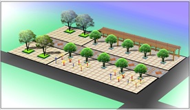 广场绿化效果图