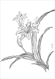 花白描图片大全 花白描设计素材 花白描模板下载 花白描图库 昵图网soso Nipic Com