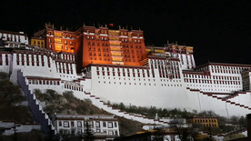 布达拉宫夜景高清视频