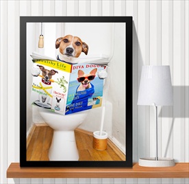 宠物海报  宠物店 宠物医院