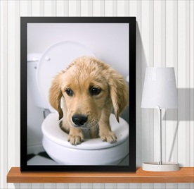 宠物海报  宠物店 宠物医院