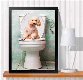 宠物海报  宠物店 宠物医院