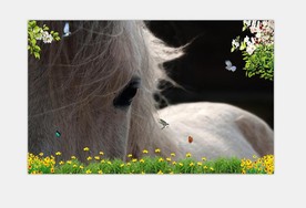 骏马现代简约欧式3D立体背景墙