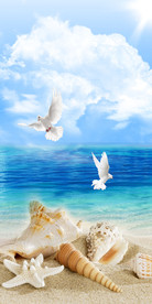 3D和平鸽海景沙滩风景玄关