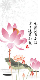 爱莲说荷花中式玄关