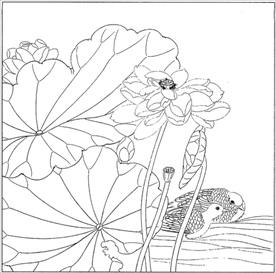 荷花线描 荷花白描 荷花素描