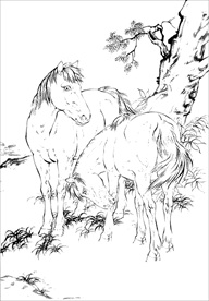 骏马线描 骏马白描 骏马素描