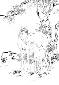 骏马线描 骏马白描 骏马素描