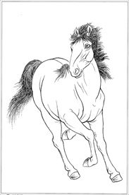 骏马线描 骏马白描 骏马素描