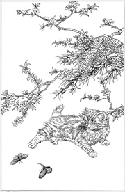 猫咪线描 猫咪白描 猫咪素描