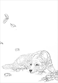 名犬线描 名犬白描 名犬素描