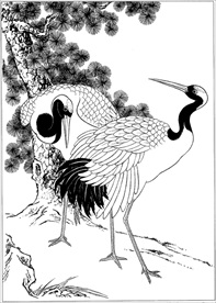 仙鹤线描 仙鹤白描 仙鹤素描