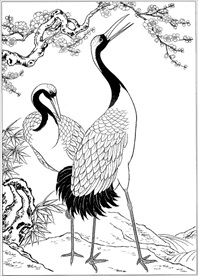 仙鹤线描 仙鹤白描 仙鹤素描