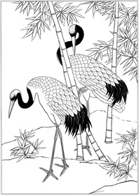 仙鹤线描 仙鹤白描 仙鹤素描