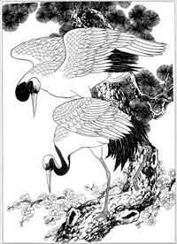 仙鹤线描 仙鹤白描 仙鹤素描