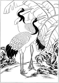 仙鹤线描 仙鹤白描 仙鹤素描