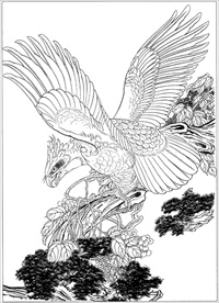 雄鹰线描 雄鹰白描 雄鹰素描