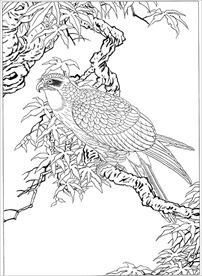 雄鹰线描 雄鹰白描 雄鹰素描