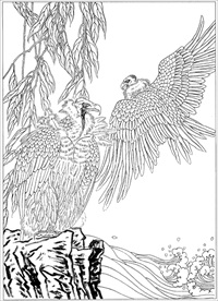 雄鹰线描 雄鹰白描 雄鹰素描
