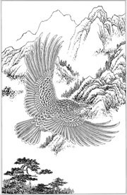 雄鹰线描 雄鹰白描 雄鹰素描