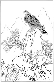 雄鹰线描 雄鹰白描 雄鹰素描