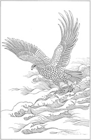 雄鹰线描 雄鹰白描 雄鹰素描