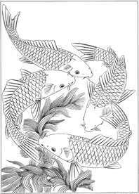 连年有余 鲤鱼线描 金鱼线描