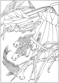 连年有余 鲤鱼线描 金鱼线描