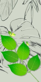 清新绿叶玄关装饰花