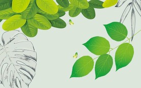 清新绿叶电视背景墙